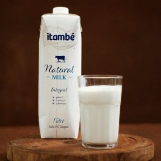 特仑苏 纯牛奶 250ml×12